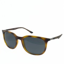 ÓCULOS DE SOL FEMININO REDONDO TARTARUGA RAY BAN - Otica Visali