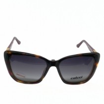 ÓCULOS DE SOL FEMININO GATINHO TARTARUGA COLCCI CLIP-ON - Otica Visali